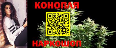 молекула духа Гатчина