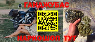 молекула духа Гатчина