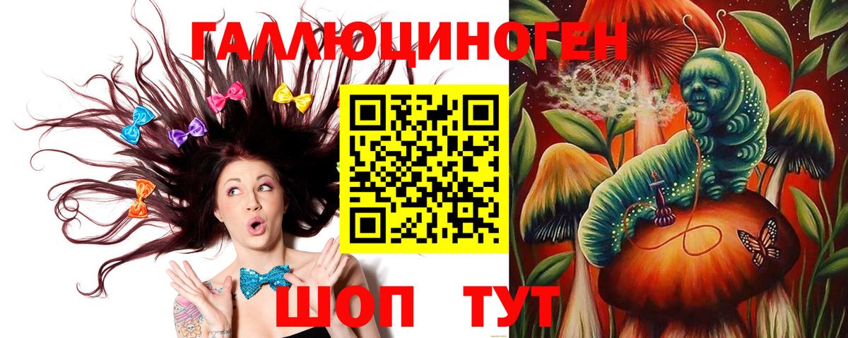 Псилоцибиновые грибы Psilocybe Мценск