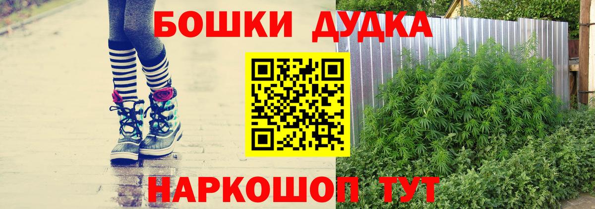 Бошки Шишки Amnesia Мценск